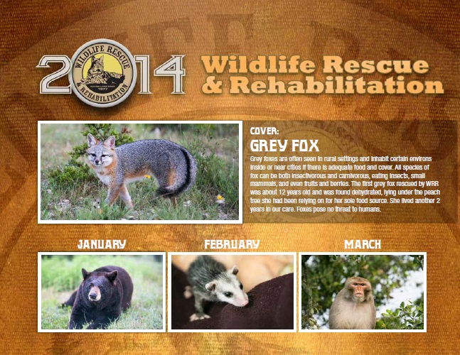 Blonde Creative intern work