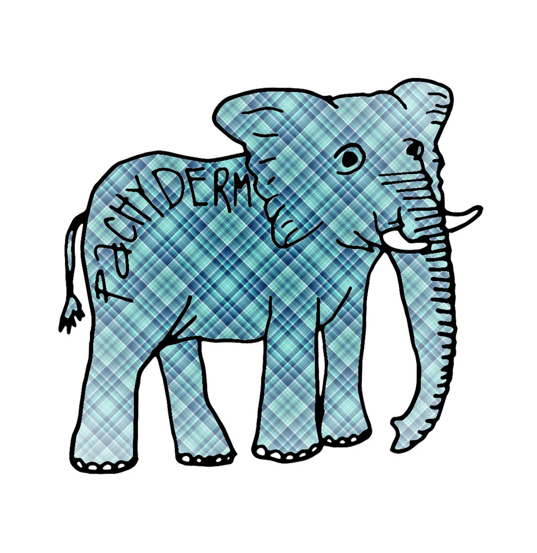 Tuesday, PACHYDERM